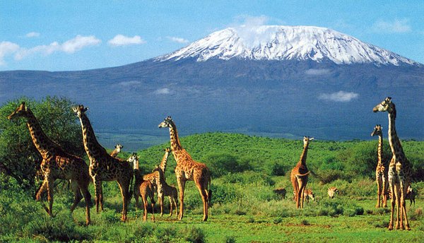 Кіліманджаро